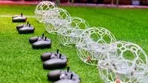 比利时队备战世界杯预选赛：赛前训练揭秘