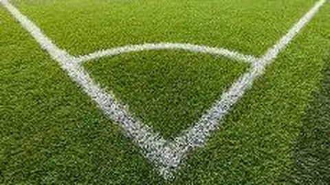 韦德体育 产品 130955 497