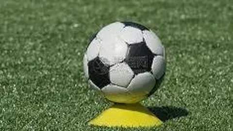 韦德体育 资讯 132002 lnw