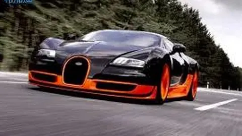 雄安嘉晨沉水植物助力攻克水域水质净化难题